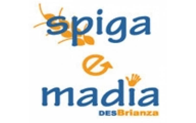 Progetto Spiga & Madia nel parco di Monza