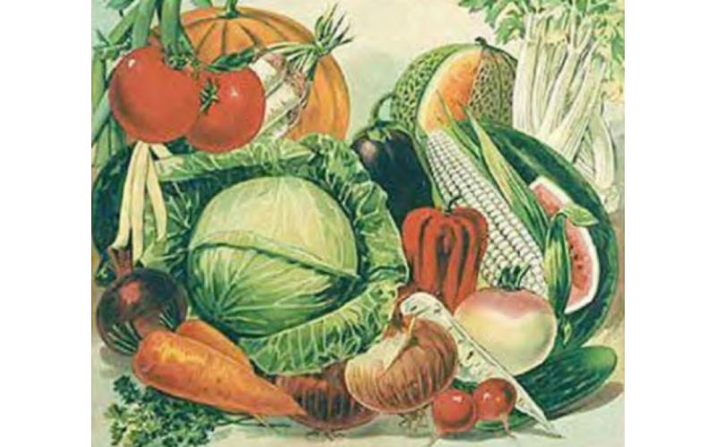 L'orteria Macherio economia solidale Brianza