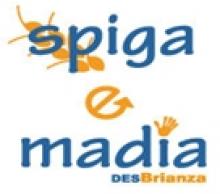 Progetto Spiga & Madia nel parco di Monza