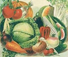 L'orteria Macherio economia solidale Brianza