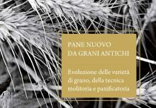 Pane nuovo da grani antichi, Provincia Siena, Progetto Spiga & Madia