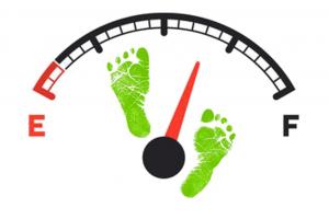 DESBri, Progetto Professionisti Solidali, Economia del Bene Comune