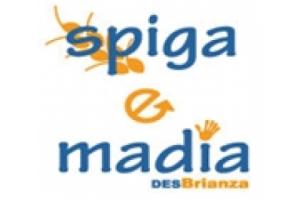 Spiga & Madia, DESBri, economia solidale