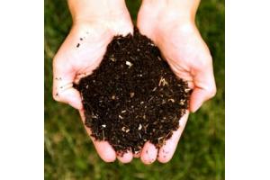 Comunità del Cobo, DESBri, Slow Food