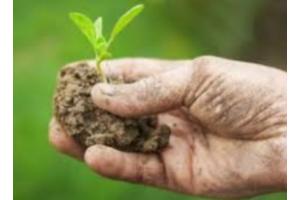 DESBri, Slow Food, CSA