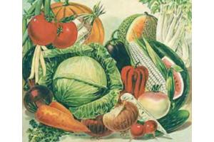 L'orteria Macherio economia solidale Brianza