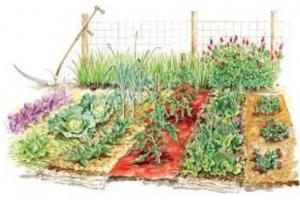 CSA Agrate, DESBri, Slow Food Monza-Brianza, Cata