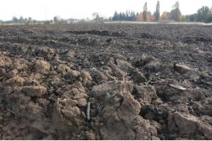 CSA Agrate - Economia Solidale Brianza DESBri