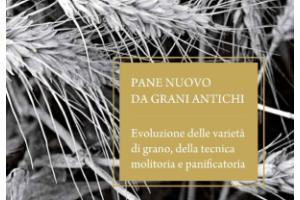 Pane nuovo da grani antichi, Provincia Siena, Progetto Spiga & Madia